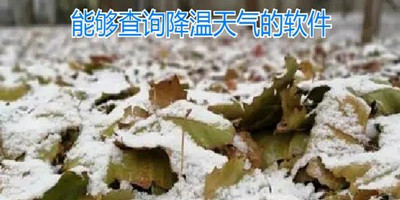 能够查询降温天气的APP专栏