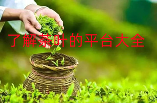 了解茶叶的平台大全