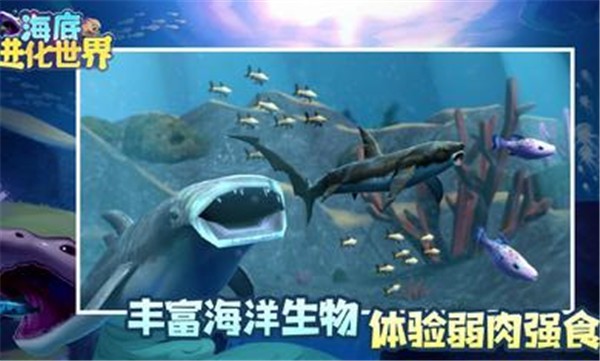 海底进化世界高清版