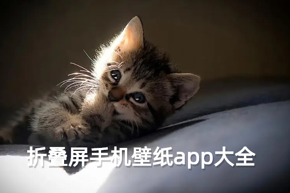 折叠屏手机壁纸app大全