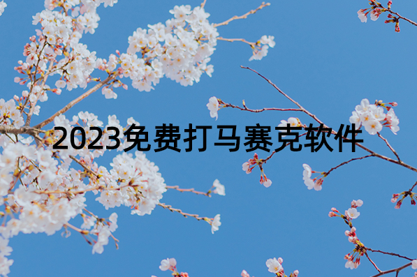 2023免费打马赛克软件