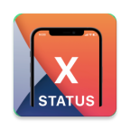 X-Status